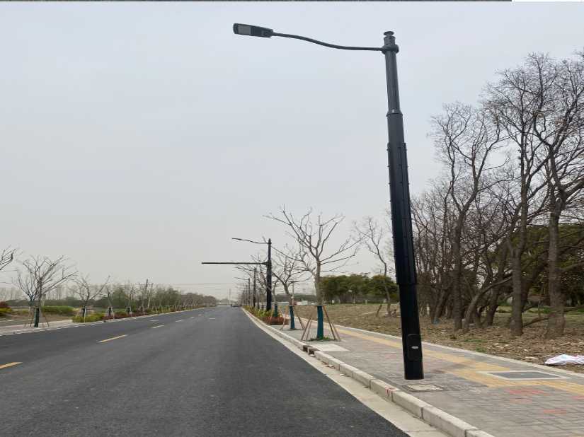 普宁市上海综合杆 太阳能路灯工程